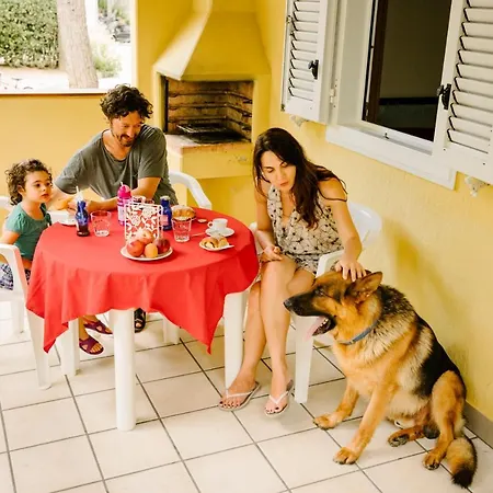 Led Zeppelin Parque de Campismo *