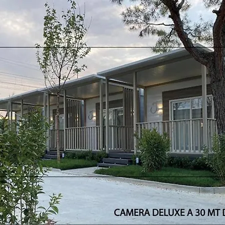 Led Zeppelin Parque de Campismo *