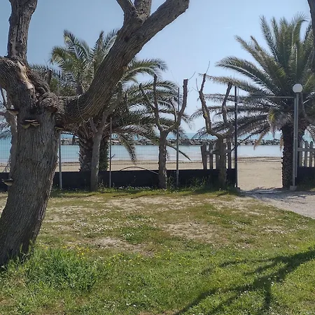 Led Zeppelin Parque de Campismo *