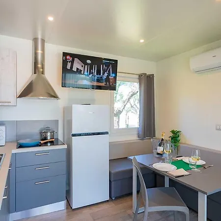 Led Zeppelin Cupra Marittima