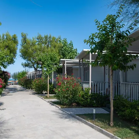 Led Zeppelin Parque de Campismo *