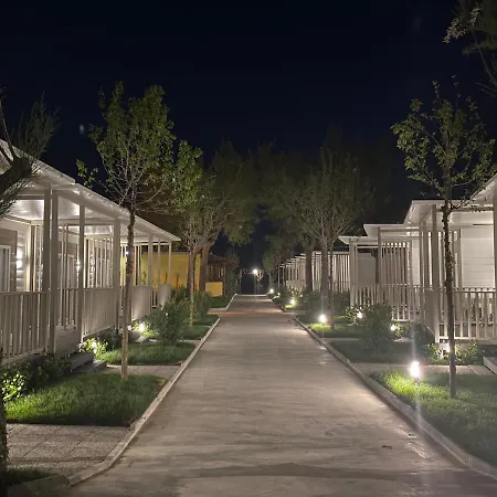 Led Zeppelin Campeggio