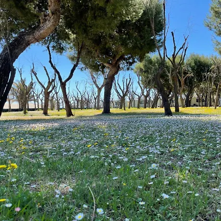 Led Zeppelin * Cupra Marittima