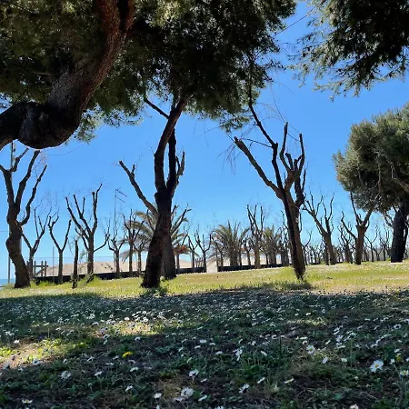 Led Zeppelin Campeggio