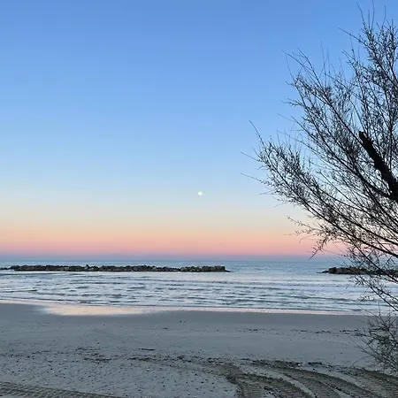 Campeggio Led Zeppelin *