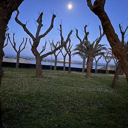 Campeggio Led Zeppelin *