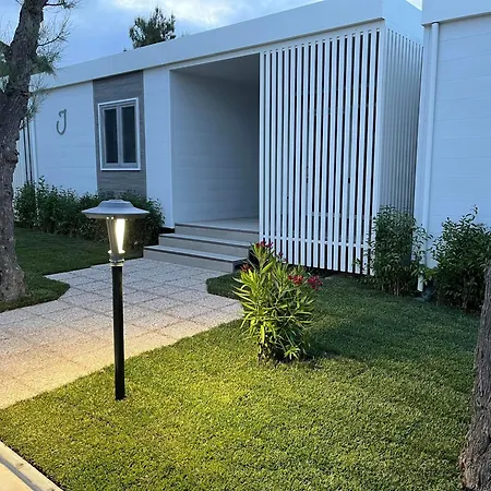 Led Zeppelin Cupra Marittima