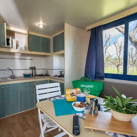 Led Zeppelin Campeggio