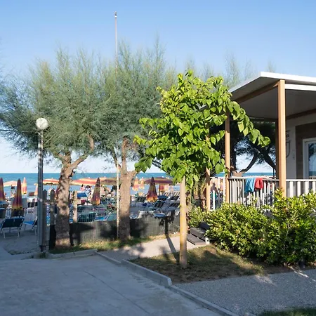 Led Zeppelin Cupra Marittima