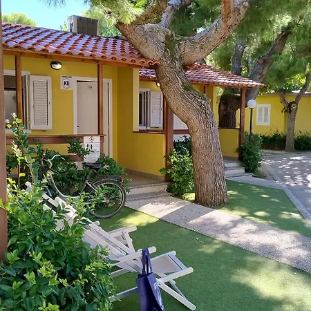 Camping Led Zeppelin Cupra Marittima