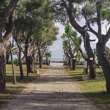 Led Zeppelin Camping Cupra Marittima