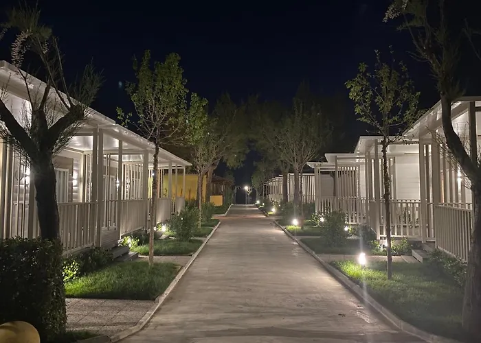 Led Zeppelin Κάμπινγκ