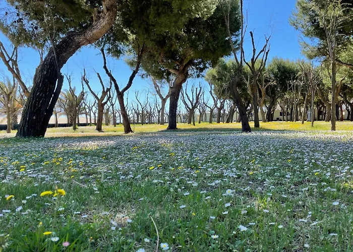 Led Zeppelin * Cupra Marittima