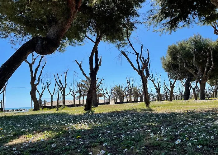 Led Zeppelin Κάμπινγκ