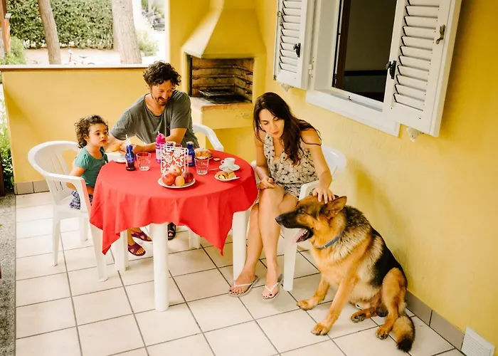 Led Zeppelin Κάμπινγκ *