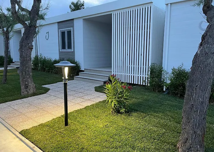 Led Zeppelin Cupra Marittima