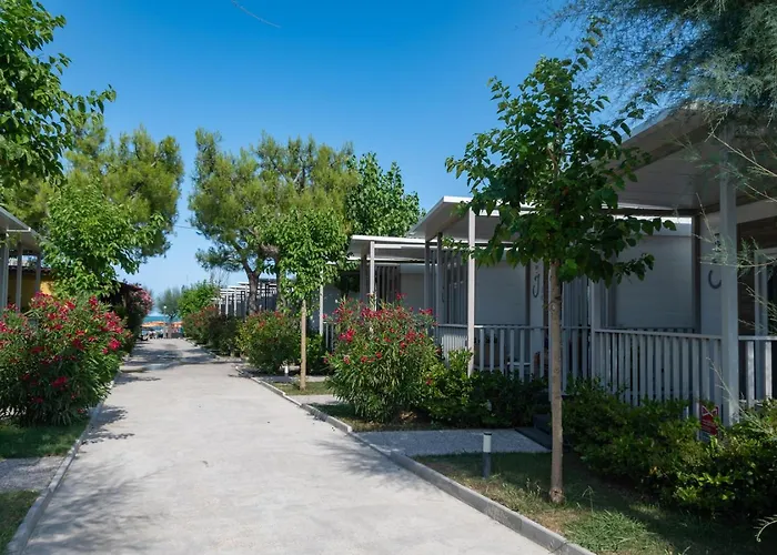 Κάμπινγκ Led Zeppelin *