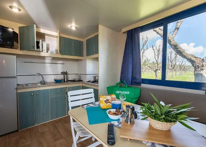 Led Zeppelin Κάμπινγκ